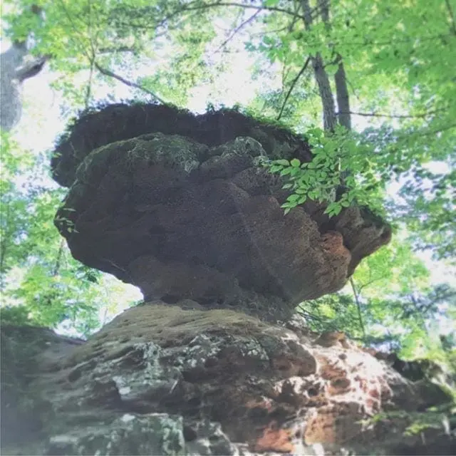Balanced Rock Trail. #RedRiverGorge #HikeKentucky #NaturalBridge