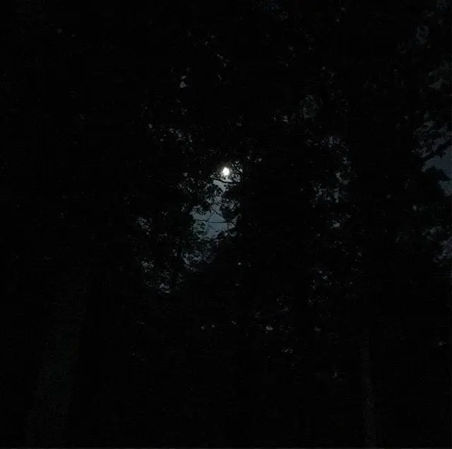 All the light we need on a beautiful evening in the wilderness. #MoonLight #Hiking #Camping #RedRiverGorge