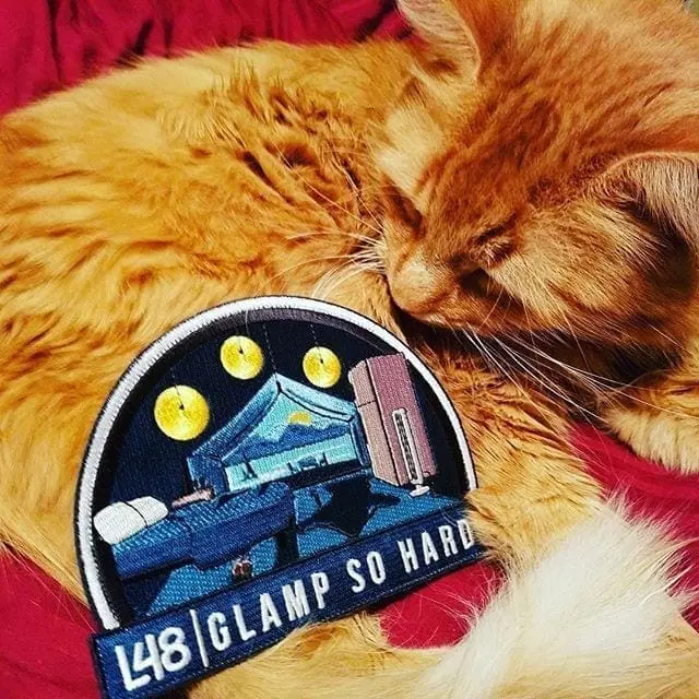 Photo sent in by one of our great customers from Florida. You know, cats need glamping too! #Camping #Glamping #MoralePatch