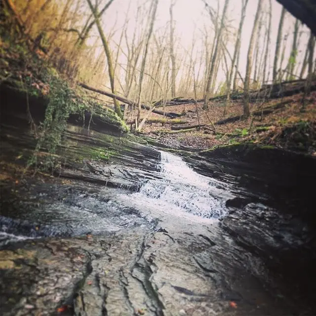 Was your adventure this weekend out shopping or out in nature? We chose nature.