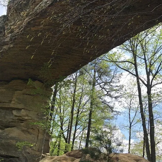 Are you exploring the outdoors this weekend? Where?