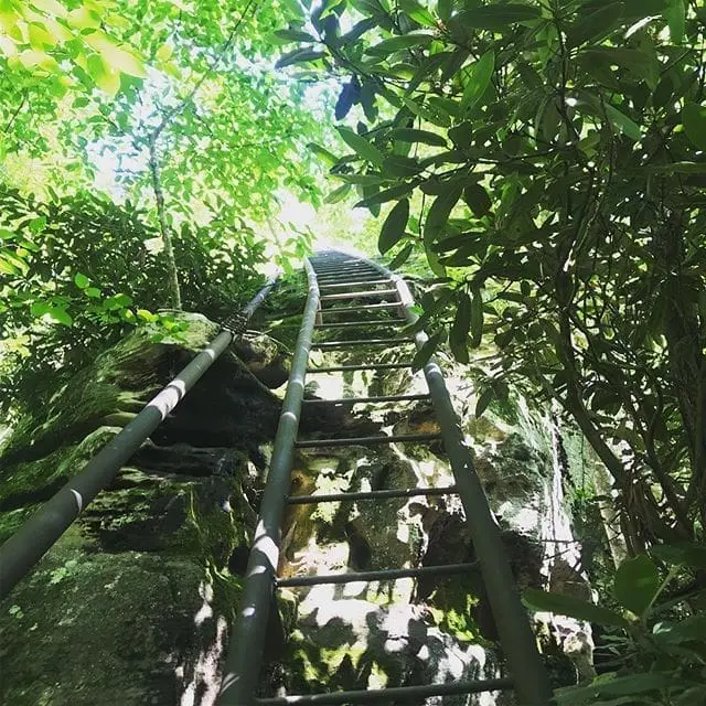 Going up! Anyone afraid of heights? 
#PipeLadder #Adventure #Climbing #Exploring #GetOutside #Hiking