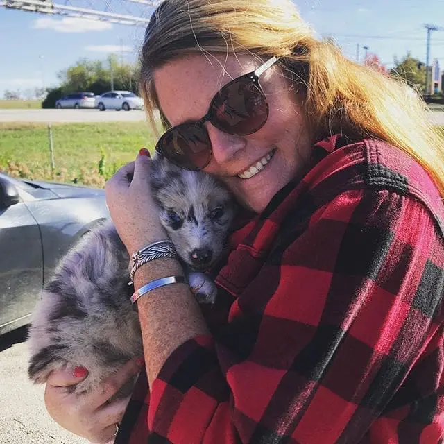 Say hello to our newest camper! .
.
#FamilyDog #australianshepherd