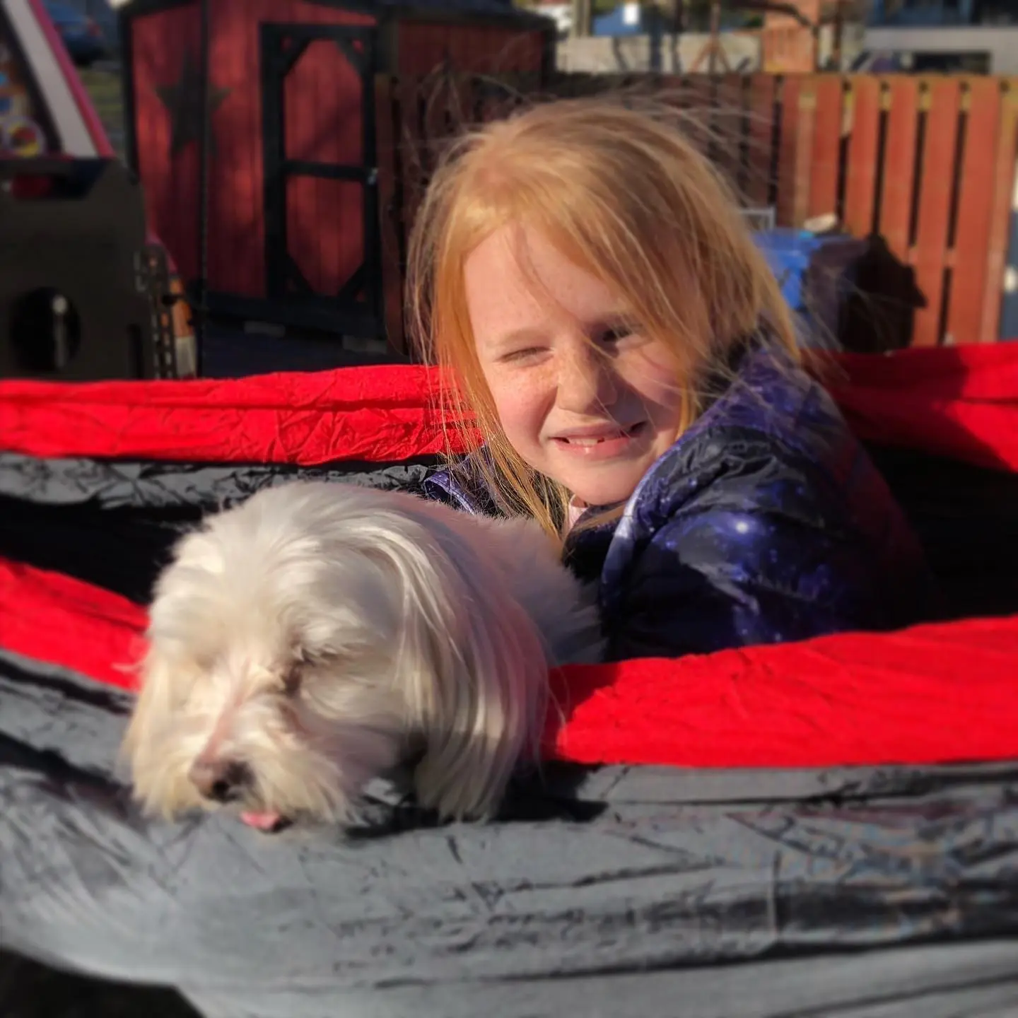 First hammock appearance of the spring! Bright and sunny out. Who’s ready for warmer weather? 
.
.
.
.
#SpringSeason #Spring2021 #DogSitting #HammockLife #Hammock